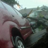 Tersangkut Akar Pohon Tumbang, Avanza Nyaris Terguling di Tebet