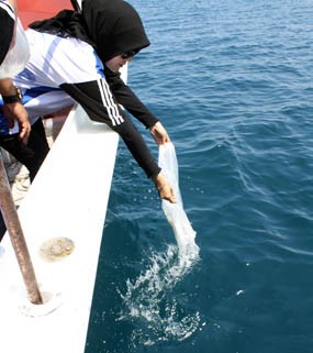 1 Juta Benih Ikan Ditabur di Perairan Pasir Putih