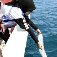 1 Juta Benih Ikan Ditabur di Perairan Pasir Putih