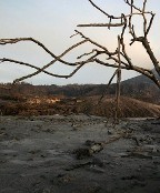 Pembinaan SDM Strategis: Solusi Permasalahan Bumi 