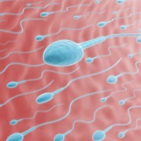 Mencegah Kehamilan dengan Senyawa Pembunuh Sperma
