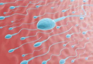 Mencegah Kehamilan dengan Senyawa Pembunuh Sperma
