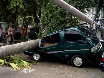 Pohon Tumbang Timpa Mobil