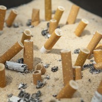 Cepat Lupa Karena Rokok