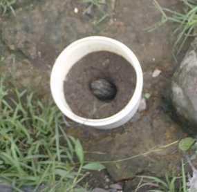 Penemuan Granat Nanas Diduga Aktif Hebohkan Warga Katapang