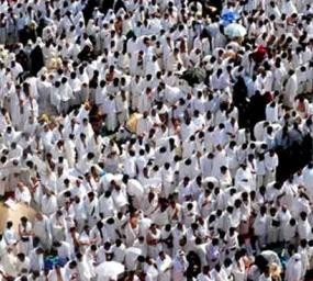 40 Persen Katering Madinah Tak Kirim Sampel Makanan