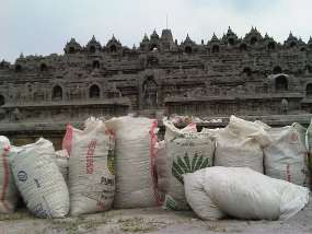  Diperintahkan Obama, Wamenlu AS Kunjungi Candi Borobudur 