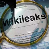 Wikileaks, Kebebasan Infomasi dan Media Sosial