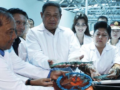 SBY Resmikan Balai Produksi Induk Udang Unggul