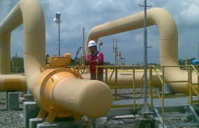 PGN Bagi Dividen Interim Rp 247 Miliar