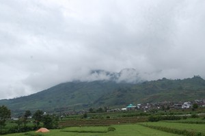 Hamparan Agro Menuju Dieng Plateau