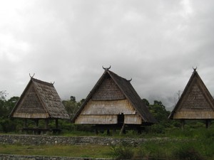 Tambi dan Buho, Arsitektur di Lembah Bada