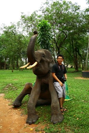 Berkenalan dengan Gajah-Gajah Way Kambas