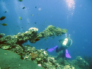 Selamat Datang di Taman Bermain Bawah Laut Tulamben
