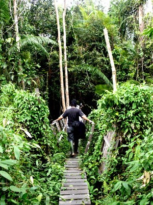 Hutan Lindung Sungai Wain: Menunggu Untuk Diselamatkan.