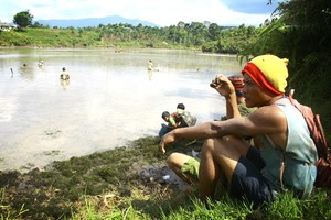 Menyibak Keindahan Danau Ranau
