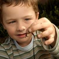 Anak Cacingan Tidak Mudah Kena Alergi