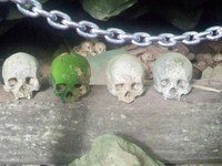 Tengkorak leluhur suku Pamona Tengkorak leluhur suku Pamona