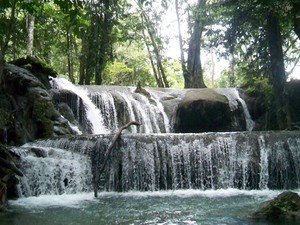 Berburu Kesegaran di Air Terjun Salodik