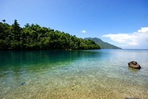 Ada Apa di Balik Batu  