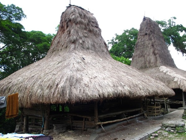 Rumah Adat Filipina All Desain