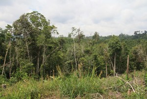 Kawasan Lindung Taman Raja