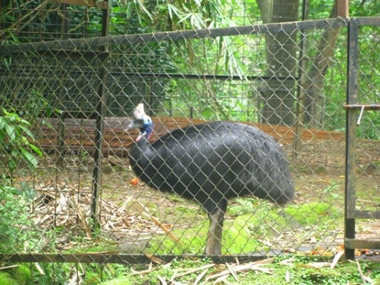 Liburan Peduli Satwa Yang Memprihatinkan