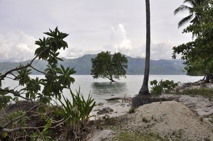 Pantai Mali , Pulau Alor 