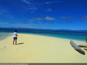Taman Laut Teluk Cenderawasih: Tak Cukup Seminggu!