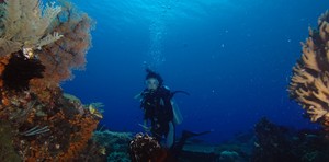 Perusak atau Penyelamat RAJA AMPAT