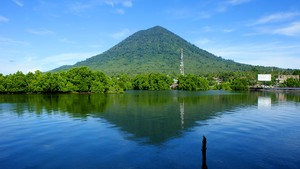 Penginapan Camar