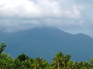 Taman Nasional Gunung Palung