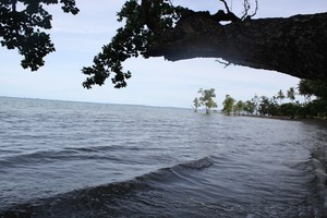 Pantai Sarang Tiung