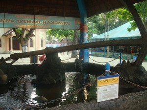 Jangkar Dampu Awang 