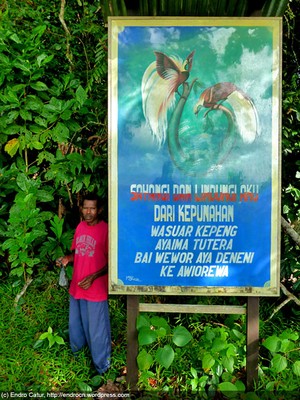 Cagar Alam Burung Cendrawasih Barawai, Yapen