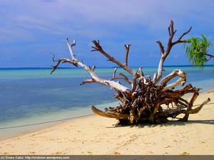 Pulau Mansurbabo, Biak