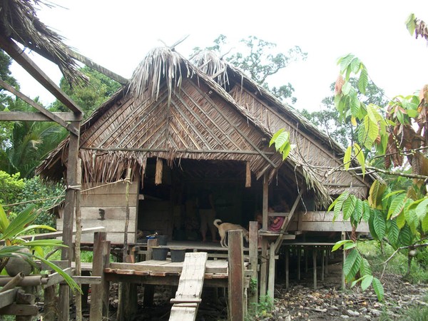 Mengunjungi Rumah Sikerei