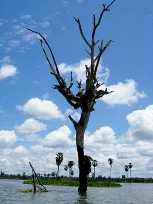 Danau Tempe