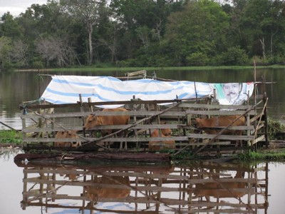Kehidupan Masyarakat Teluk Aur
