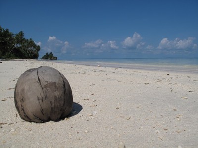 Pantai Daftel
