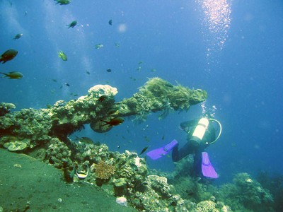 Kehidupan Bawah Laut Tulamben