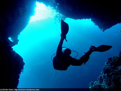 Bersahabat Dengan Keremangan Bawah Laut: Uji Nyali Anda di Kepulauan Padaido