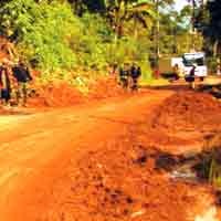 Diguyur Hujan, Tebing di Jalur Selatan Lumajang Longsor