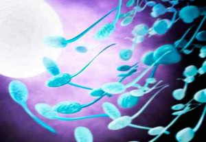 Sperma Digunakan untuk Obati Penyakit