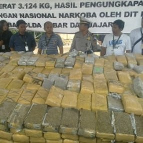 Polda Jabar Musnahkan Ganja Senilai Rp 12 Miliar dengan Insinerator