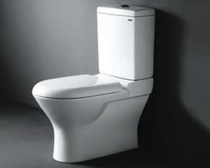 5 Tips Memilih Toilet Untuk di Rumah