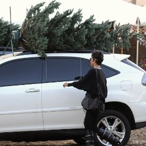 Halle Berry Angkut Pohon Natal di Atap Lexus Hybrid
