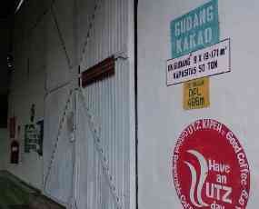 Ratusan Monyet Misterius di Gudang Kakao PTPN XII Ngrangkah Sepawon