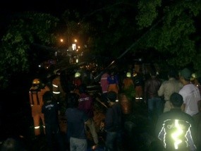 Pohon Roboh Tutup Dua Jalur Jl Fatmawati, Macet Total