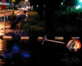 Dua Mobil Tertimpa Pohon Tumbang di DPR 